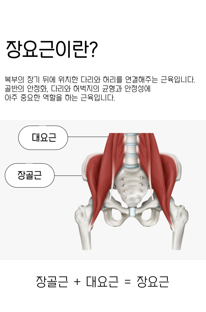 밸런스코어 장요근 마사지기 목 어깨 허리 복부 마사지 스트레칭 근막이완 도구